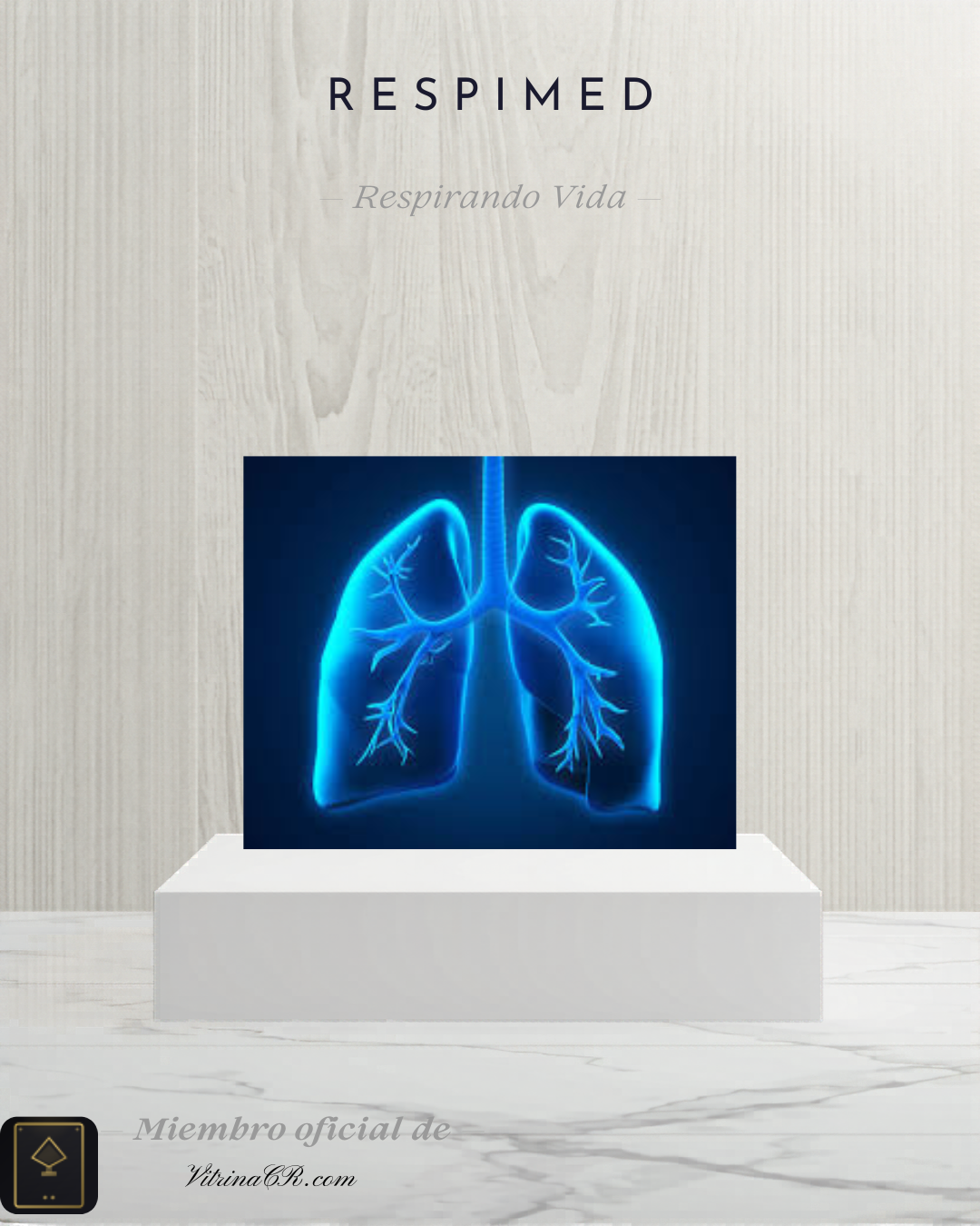 Sesión de Terapia Respiratoria en casa